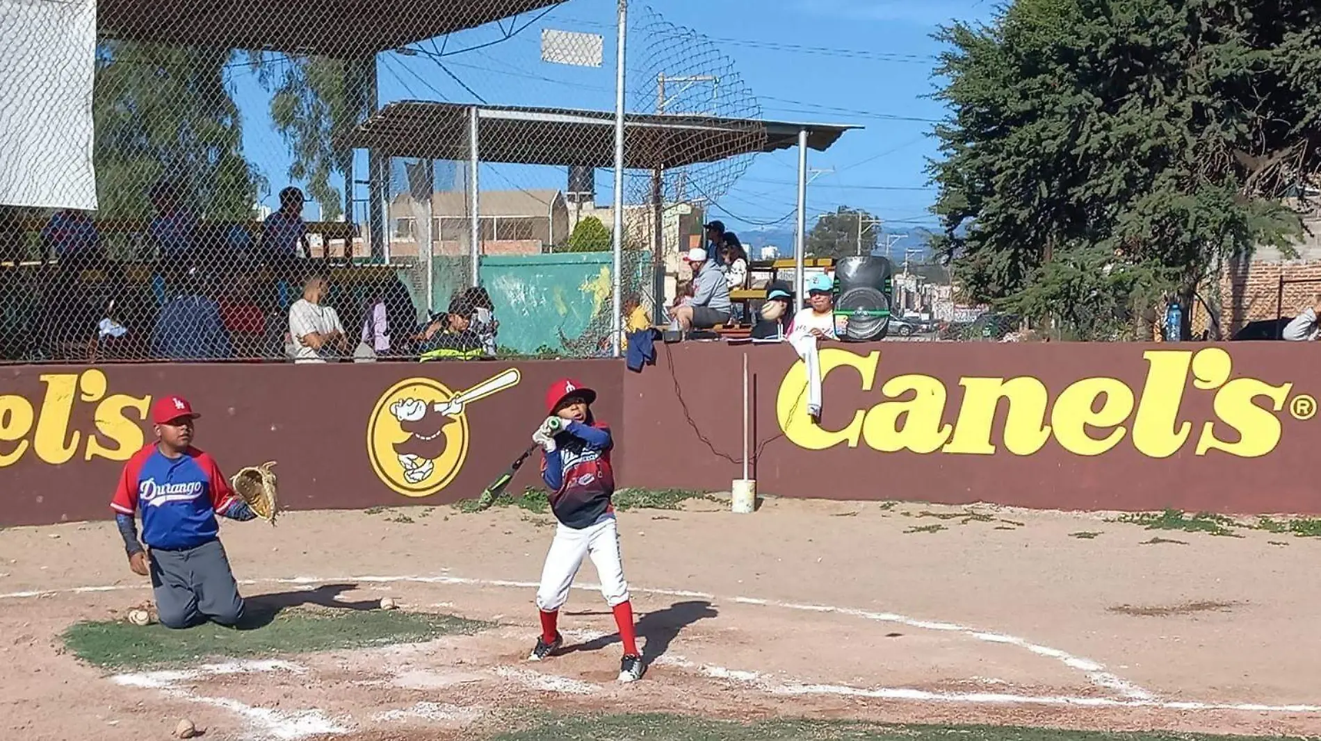 La Liga Pequeña de Béisbol (1)